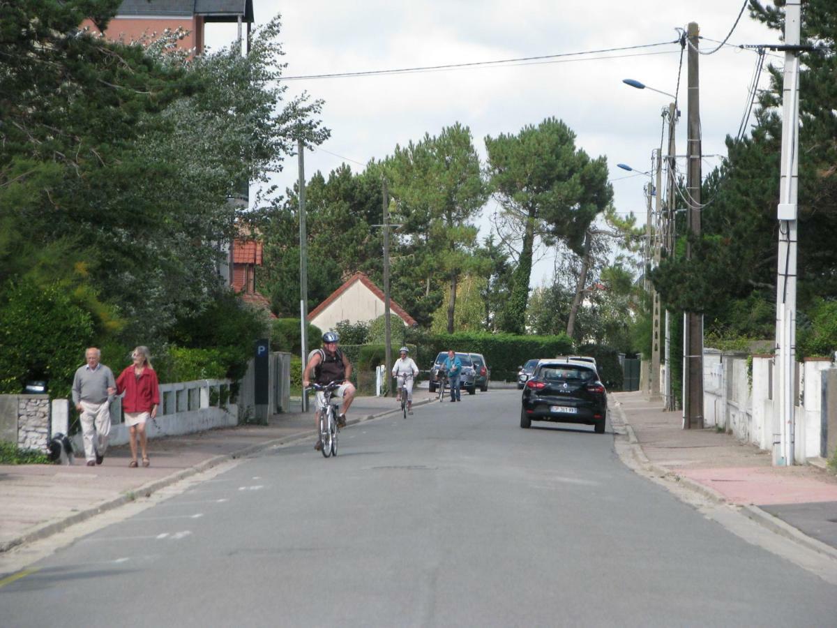 Les Bernaches Le Crotoy